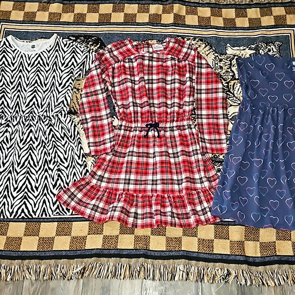Lot of girls dresses size 10/12 Hannah Andersson & Tea Collection cotton (i4)